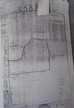 Terrain de 15 hectares en vente à Lilikopé, bord du goudron – 30 millions FCFA l'hectare