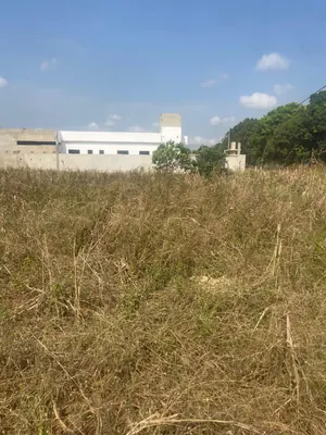 Terrain 2 lots 1200 m² en vente en bord du goudron à Aného – 11 millions FCFA le lot — photo 5