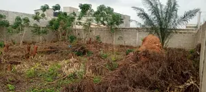 Terrain 798 m² en vente à Zanguéra Zopomahé, angle de rue – 30 millions FCFA — photo 4