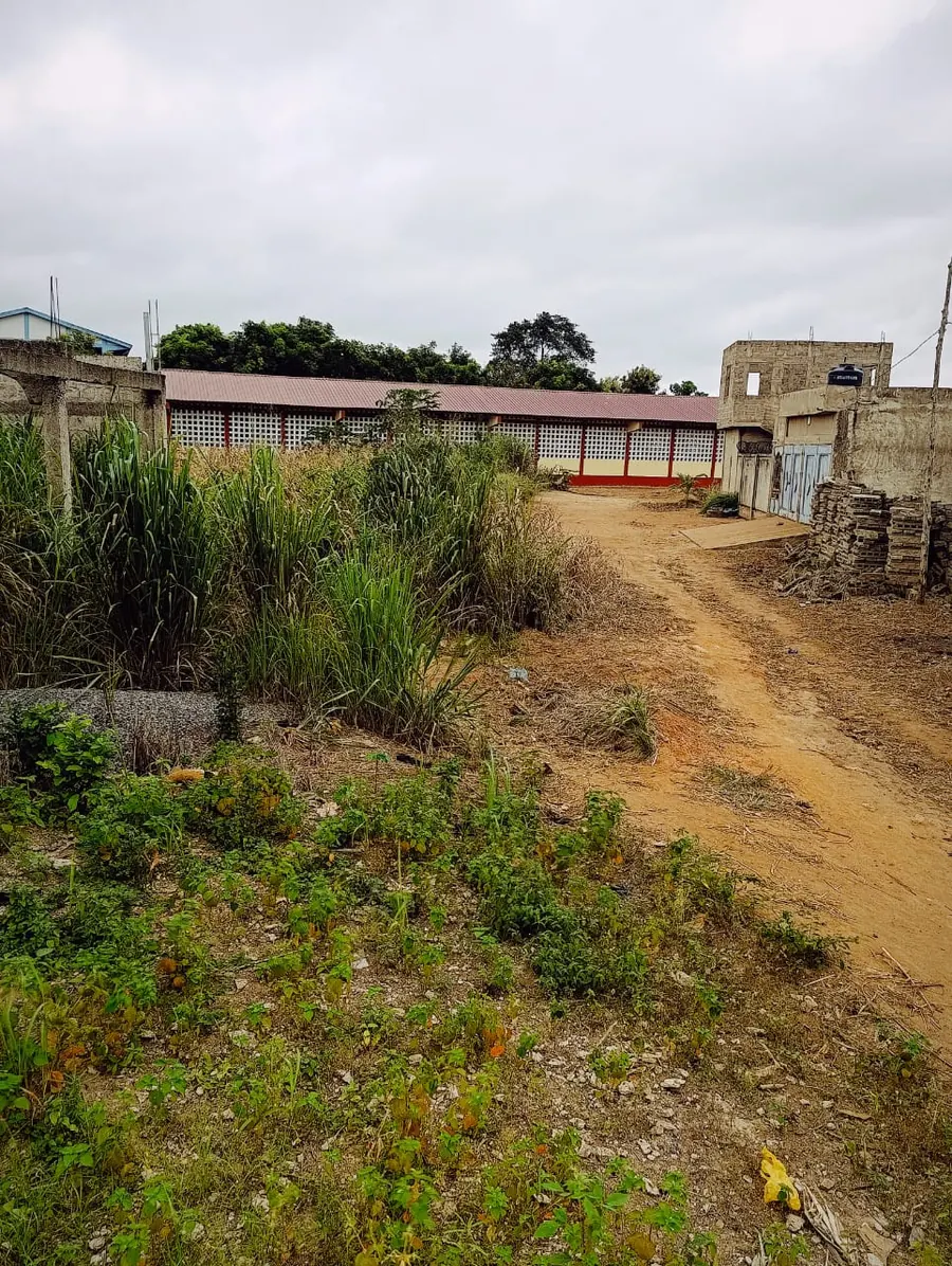 Terrain 203 m² en vente à Kpalé, angle de rue – 4,5 millions FCFA