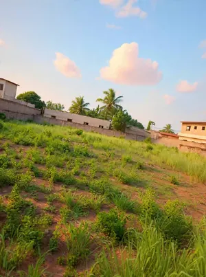 Terrain en vente à Adidogomé derrière la base EBOMAF – 55 millions FCFA — photo 3