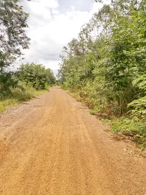 Vente d'hectares à Badja, 6 hectares, proche du goudron – 7,5 millions FCFA l'hectare — photo 12