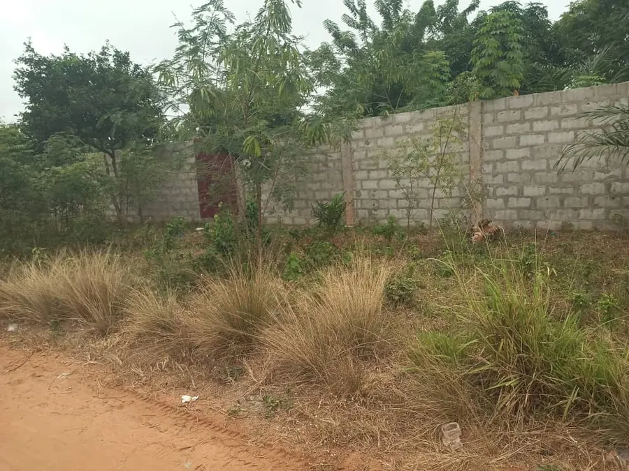 Vente de terrain à Zanguera, 2 lots, bord du goudron Lomé-Kpalimé, sur la colline avant péage d'Aképé – 55 millions FCFA