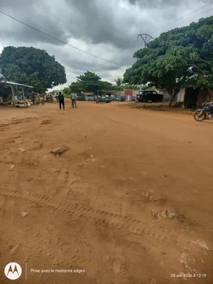 Terrain demi-lot de 300 m² en vente à Agoè Daliko (secteur Camp GP) – 11 000 000 FCFA