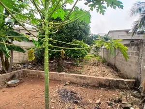 Terrain 900 m² en vente en angle de rue à Amadahomé - Nanegbe – 16 millions FCFA — photo 3