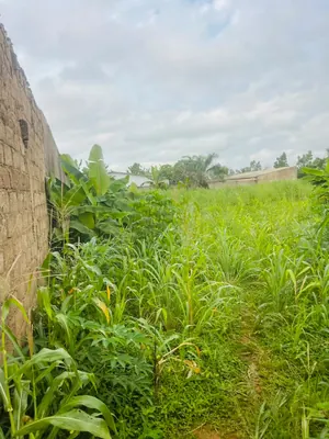 Terrain 1 lot en vente avec accès direct au goudron à Davié Mondji, Tsévié – 6 millions FCFA — photo 5