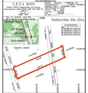 Terrain 5 hectares en vente en bordure du goudron à Azahoun Fokpo – 7 millions FCFA l'hectare