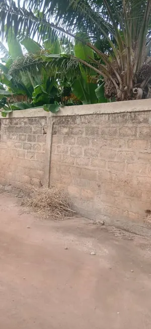 Terrain de 150 m² en vente derrière l'Entreprise de l'Union à Lomé – 8,5 millions FCFA — photo 1