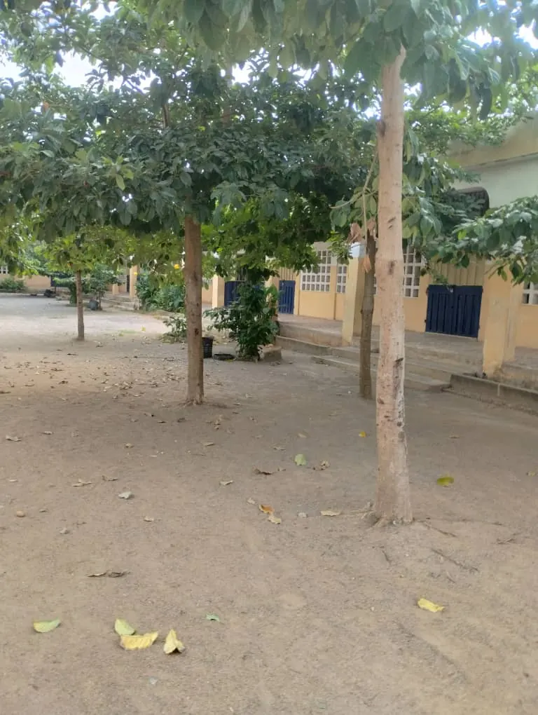 Complexe scolaire 4 lots en vente à Zanguéra Klémé – 300 millions FCFA
