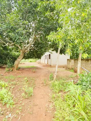11 lots 5 pièces 6651 m² en vente à Kovié Dzemeké – 45 millions FCFA — photo 6