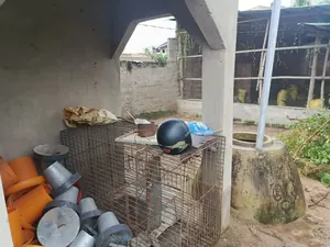 Maison 1 pièce en vente à Agoè Légbassito quartier Belgique – 22 millions FCFA — photo 5