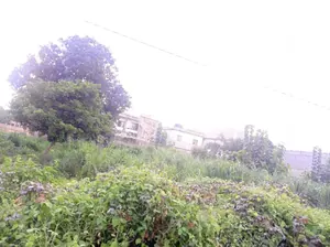 Terrain 1200 m² en vente en angle de rue à Adidogomé Attigangome – 33 millions FCFA le lot — photo 2