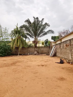 Terrain 1 lot avec bâtiment 2 pièces en vente à Avédji Adroukpapé – 70 000 000 FCFA — photo 4
