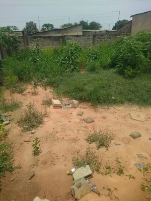 Vente d'un terrain à Cacaveli secteur TDE, clôturé – 13,5 millions FCFA — photo 3