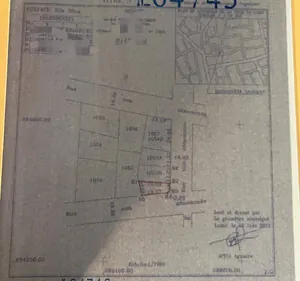 Terrain 501 m² en vente à Totsi – 50 millions FCFA — photo 2