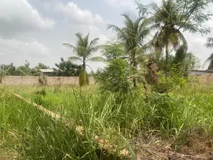 3 lots de terrain en vente à Akato Viepe – 18 millions FCFA le lot — photo 2