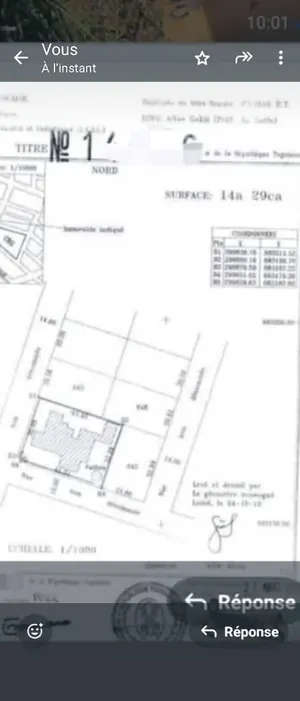 Terrain 1429 m² en vente à Avenou Kouvahey – 160 millions FCFA