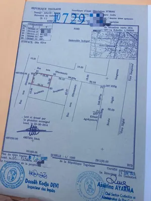 Terrain 1 lot de 602 m² en vente à Zanguéra Klemé Château – 20 millions FCFA — photo 3