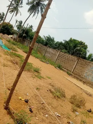 Terrain en angle de rue à vendre à Togokomé (Aného) – 4,5 millions FCFA — photo 2