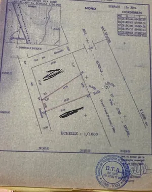 Vente de terrain à Noépé, 2 lots et demi (1330 m²), face goudron, ouvert sur 2 voies – 30 millions FCFA à débattre