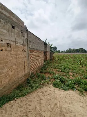Terrain 270 m² en vente à Apessito, proche du goudron – 8 millions FCFA — photo 1