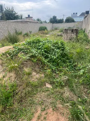 Vente d'un terrain à Agoè Legbassito, 363 m², clôturé, à 5 min du goudron – 12 millions FCFA — photo 2