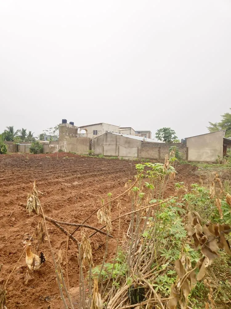 Terrain 1 lot en vente en angle de rue à Agoè Legbassito Madjikpéto – 20 millions FCFA