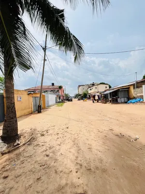 Terrain 1220 m² en vente à Tokoin Trésor – 250 millions FCFA — photo 2