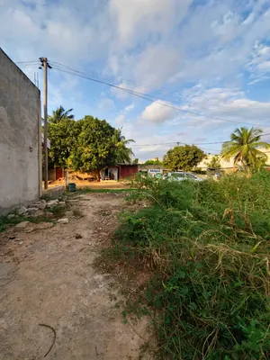 Vente d'un terrain au Rond-point Avinato (Légbassito), 1 lot, 559 m², titre foncier personnel – 35 millions FCFA — photo 12