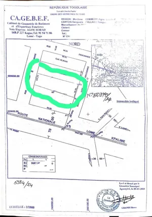 Terrain 2 lots en vente à Zanguera, face au goudron – 50 millions FCFA — photo 2