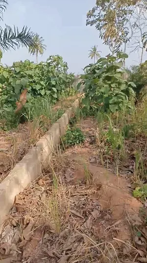 Terrain 6,5 lots en vente en angle de rue à Kpala Djigbé – 12 millions FCFA le lot — photo 2