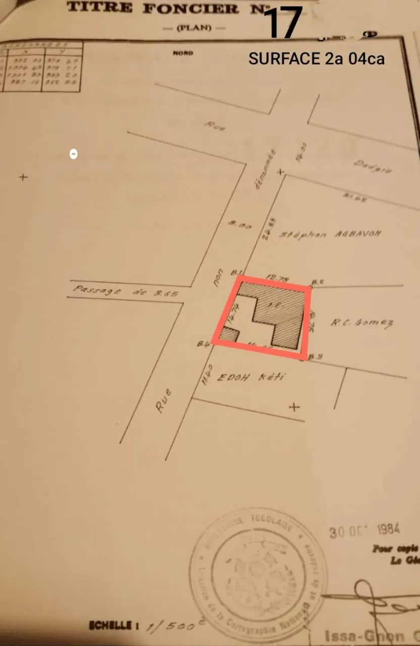 Terrain de 204 m² en vente à Dékon – 85 millions FCFA