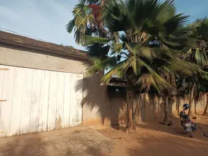 Terrain 6 lots 3600 m² en vente en bordure de grande voie à Adetikopé Kpotave – prix à partir de 20 millions FCFA le lot — photo 3