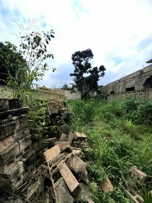 Vente d'un terrain à Agoè Legbassito Assiko, demi-lot clôturé de 291 m², près de l'église Assemblée de Dieu – 15 000 000 FCFA — photo 5