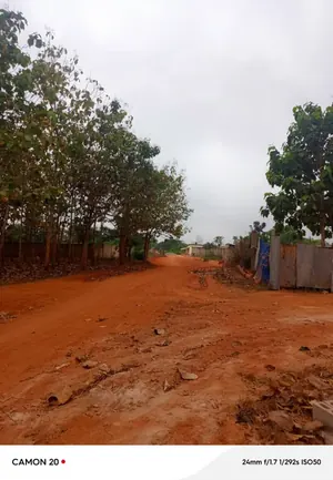 Terrain 1 hectare à vendre à Aképédo Monou (Zanguera) – 17 millions FCFA le lot — photo 4