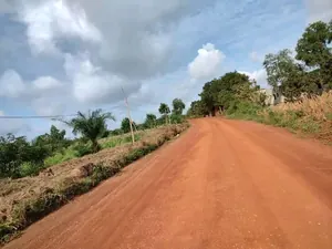 Terrain de 25 hectares en vente à Badja Agoudja – 8 500 000 FCFA l'hectare — photo 2