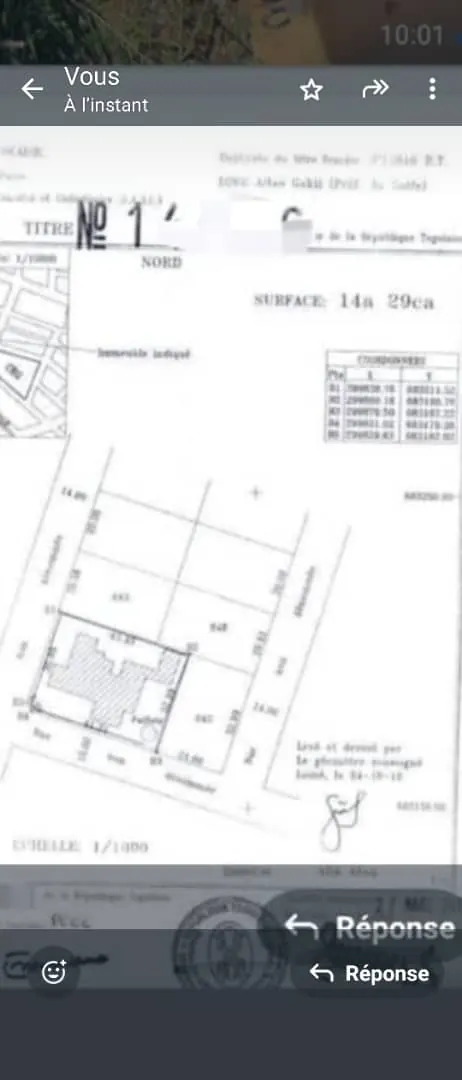 Terrain 1429 m² en vente à Avenou Kouvahey – 160 millions FCFA