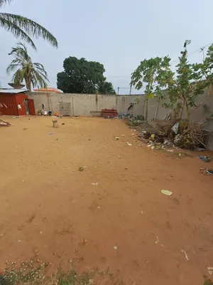 Terrain demi-lot 300 m² à vendre à Tokoin Habitat, angle de rue – 50 millions FCFA
