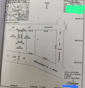 Terrain demi-lot de 300 m² en vente à Dangbéssito – 15 millions FCFA — photo 2