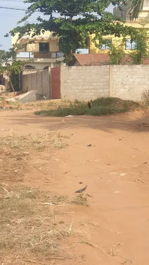 Vente d'un terrain à Agoè Legbassito Pharmacie Gratitude, demi-lot clôturé avec chambre salon, 150 m du goudron – 17 millions FCFA — photo 3