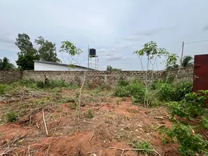 Terrain 515 m² en vente à Zanguéra Ars – 25 millions FCFA — photo 4