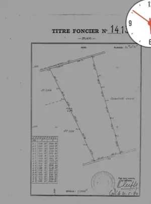 Terrain de 24 hectares en vente à Gilgal – 2,5 millions FCFA l'hectare