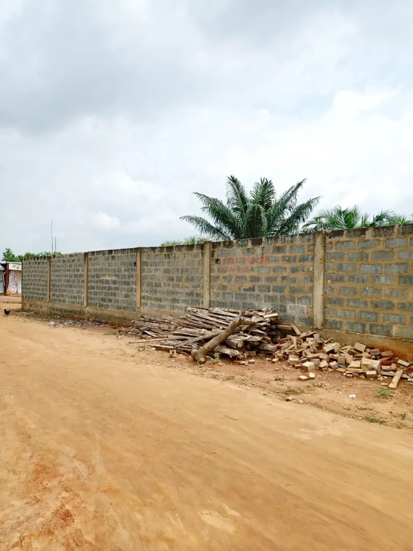 Terrain 1 lot de 600 m² clôturé à vendre à Agoè Légbassito près de la mairie – 27 millions FCFA