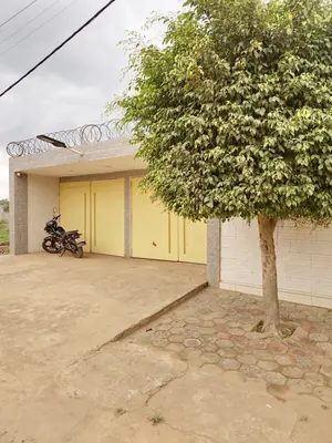 14 hectares à vendre à l'entrée de Notsé, lieu-dit Alinou Yotiglo, à 3 km du goudron RN1 – 2,5 millions FCFA par hectare — photo 15