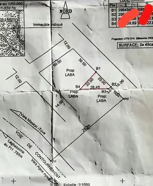 Terrain 245 m² en vente à Legbassito – 10 millions FCFA — photo 6