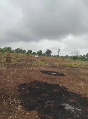 Terrain 1 lot (600 m²) en vente à Dalavé, non loin de la grande voie de Tsévié à Kpomé – 4 millions FCFA le lot