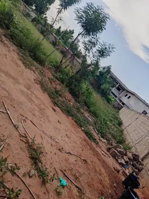 Terrain 600 m² en vente en bordure de goudron à Adidogomé Atillamonuou Rafiti – à partir de 50 millions FCFA — photo 4