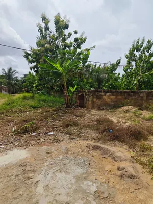 Terrain en vente à Zanguera Klémé, Lomé – 20 millions FCFA le lot — photo 4