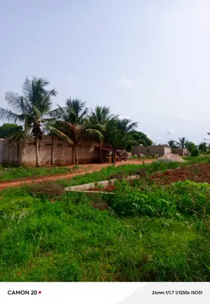 Vente de terrain à Zanguera Akepedo Jérusalem, 4 lots, bornage fait – 15 millions FCFA le lot — photo 4
