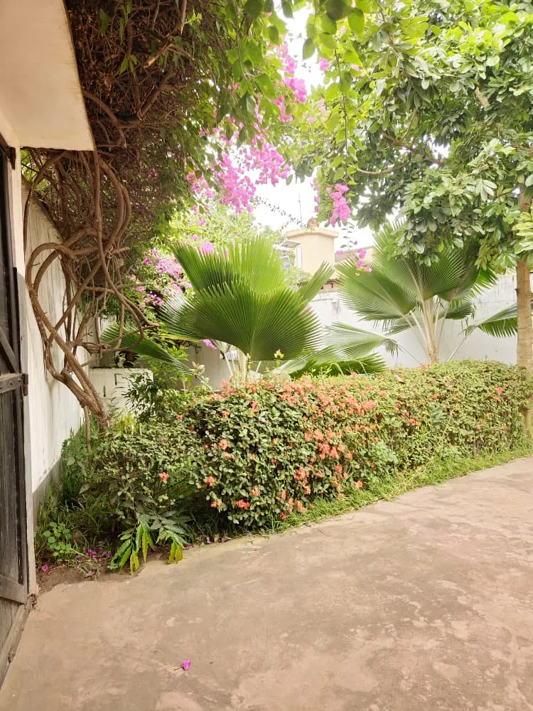 Vente d'une villa à Agoè Cacaveli, meublée avec piscine, 6 chambres sur 2 lots et demi – 350 millions FCFA